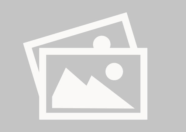 Avalon Holdings