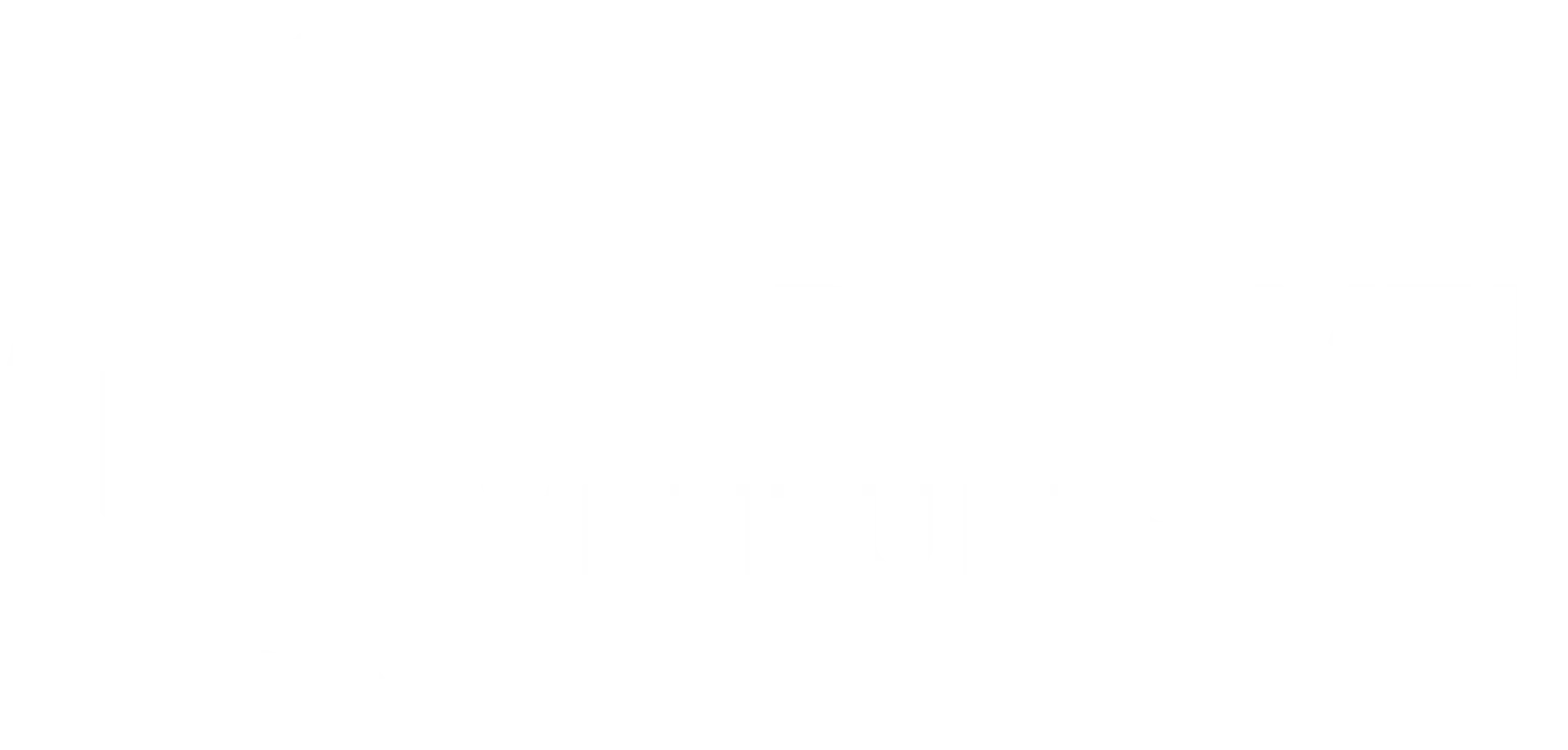 Third Level Ventures